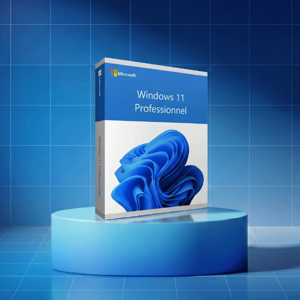 Boîte Microsoft Windows 11 Professionnel